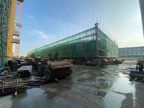 世友工業(yè)城 輕工智能裝備園工程進度現(xiàn)場直擊