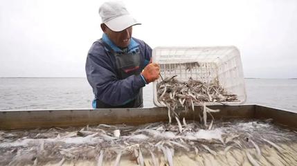 金秋龍江慶豐收，魚米滿倉振三農(nóng)——寫在中國農(nóng)民豐收節(jié)