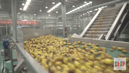 深耕農產品深加工，培育高成長企業 推動生態特色食品產業轉型升級