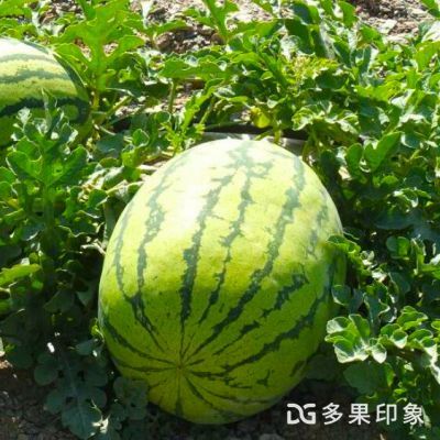 鹽城館 水產(chǎn)養(yǎng)殖優(yōu)質(zhì)特色農(nóng)產(chǎn)品品牌之路